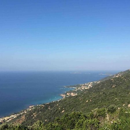 Ajaccio Magnifique T2 Neuf 40M2 Avec Balcon Au Trottel 4 Couchages Wifi Clim Parking Plage A Pieds 100M Ngoại thất bức ảnh