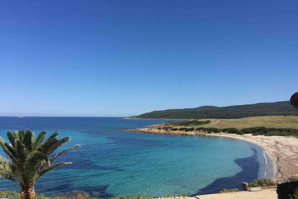 Ajaccio Magnifique T2 Neuf 40M2 Avec Balcon Au Trottel 4 Couchages Wifi Clim Parking Plage A Pieds 100M Ngoại thất bức ảnh
