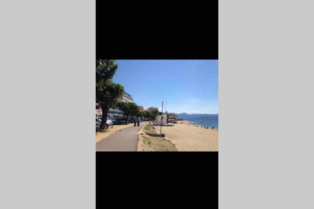 Ajaccio Magnifique T2 Neuf 40M2 Avec Balcon Au Trottel 4 Couchages Wifi Clim Parking Plage A Pieds 100M Ngoại thất bức ảnh