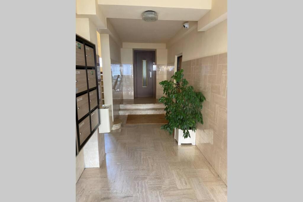 Ajaccio Magnifique T2 Neuf 40M2 Avec Balcon Au Trottel 4 Couchages Wifi Clim Parking Plage A Pieds 100M Ngoại thất bức ảnh