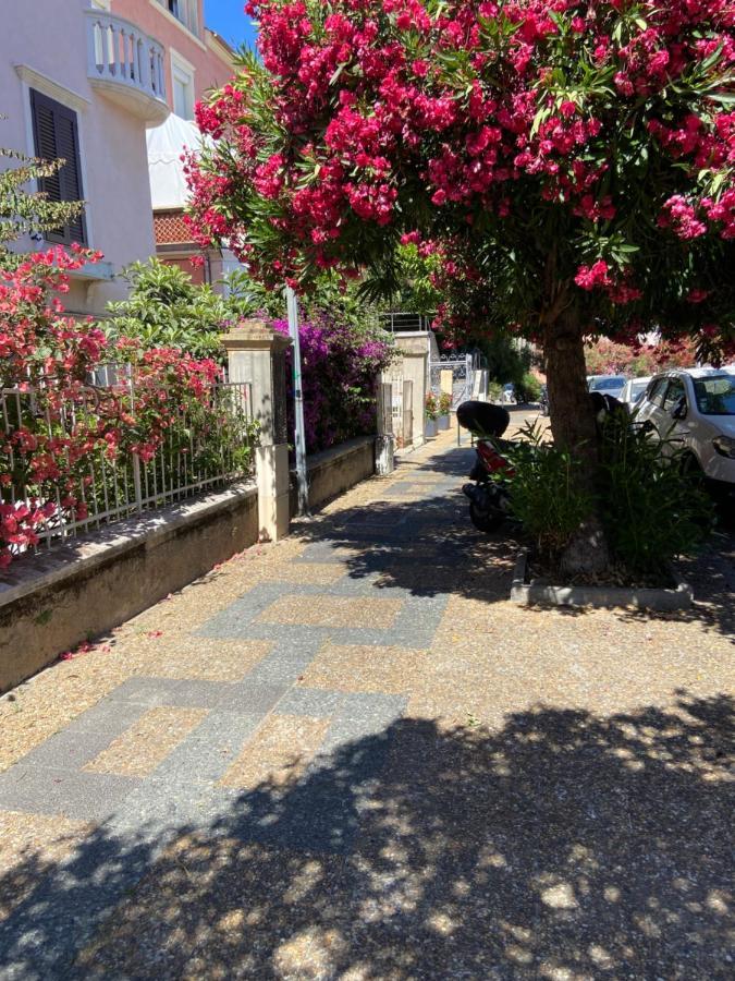 Ajaccio Magnifique T2 Neuf 40M2 Avec Balcon Au Trottel 4 Couchages Wifi Clim Parking Plage A Pieds 100M Ngoại thất bức ảnh