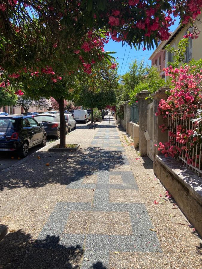 Ajaccio Magnifique T2 Neuf 40M2 Avec Balcon Au Trottel 4 Couchages Wifi Clim Parking Plage A Pieds 100M Ngoại thất bức ảnh